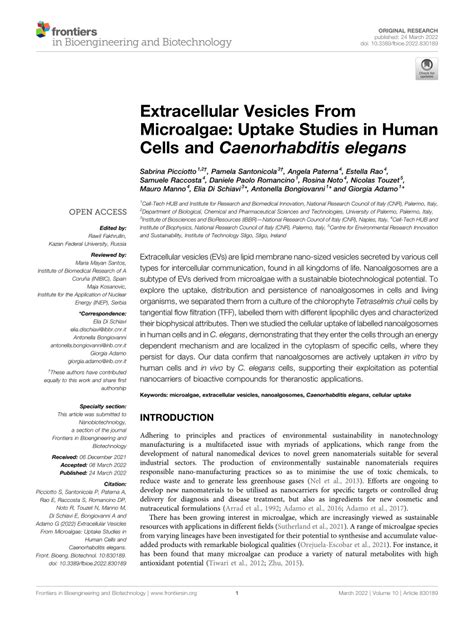 🍆 +18 Mirjamkosanovic1 Onlyfans Leaked