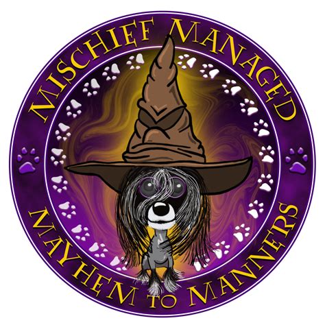 Mischief Managed RI Dog Training in Richmond, RI