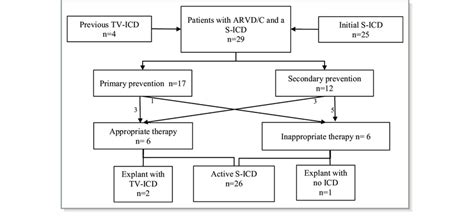 Misdiagnosis of ARVC leading to inappropriate ICD implant and ...