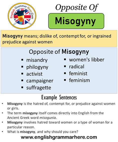 Misogynists synonyms, Misogynists pronunciation, Misogynists translation, English dictionary definition of Misogynists. n. One who hates or mistrusts women. mi·sog′y·nis′tic , mi·sog′y·nous adj. American Heritage® Dictionary of the English Language, Fifth Edition. ... It was tacitly understood in the port that John Nieven was a ...