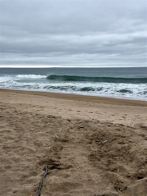 Minimal surf (ankle or less) for the morning with a knee to thigh h
