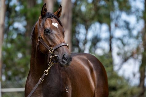 Miss Ruby Blu Onlyfans Leak +18 😈