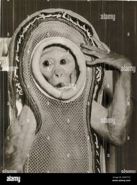 Miss Sam Leaked XxX 💋 130 Vids