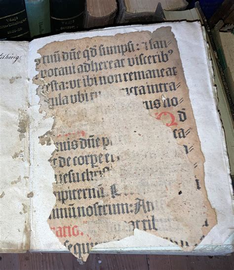 Missaale Onlyfans Leak [CLIP] 🍑 133 Photos