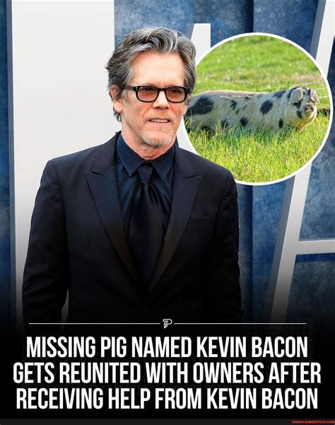 Missing Pa. pig Kevin Bacon returns home after plea from actor Kevin Bacon