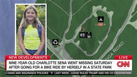 Missing Park Forest girl found safe