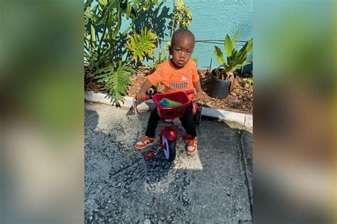 Missing toddler Taylen Mosley's body found in alligator's mouth; father charged, chief says