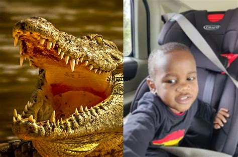 Missing toddler found in an alligator’s mouth died of drowning, police say