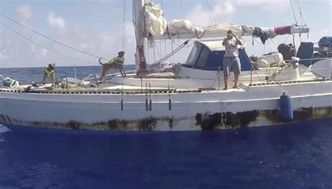 Missing yacht with 3 Russians, 2 Egyptians reaches safety