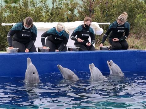 Mississippi aquarium welcomes baby