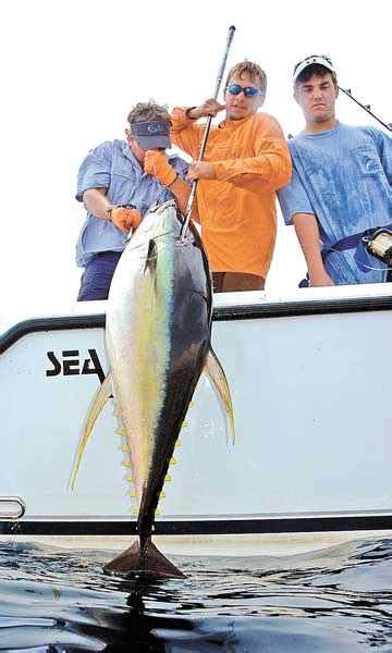 Mississippi offshore tuna fishing hot in December