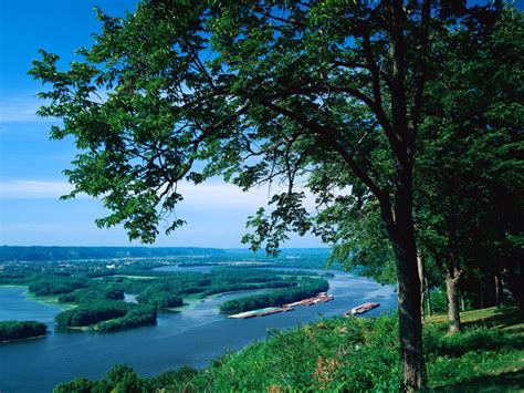 A new technique could help save the Mississippi River's floodplain forests: raising the forest floor. Near the bridge that connects Prairie du Chien with Marquette, Iowa over the Mississippi River .... 