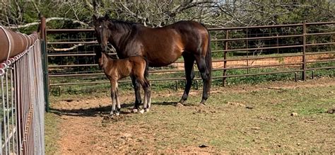 Missn&ouml;jet mot ukrainska flyktingar v&auml;xer i Polen - SVT Nyheter