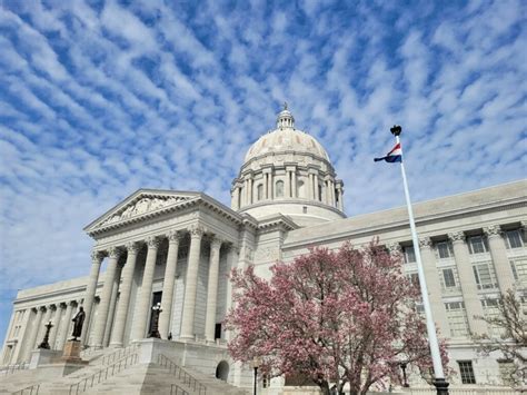 Missouri House backs bill requiring state research on psychedelics to treat depression, PTSD