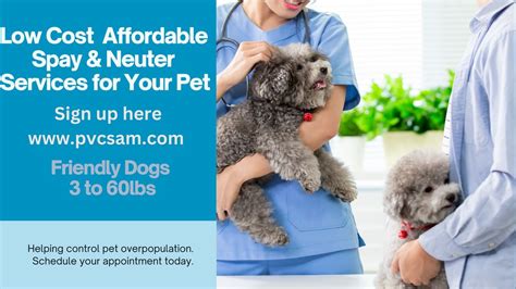 Missouri Low-Cost Spay/Neuter Resources - Dog lover