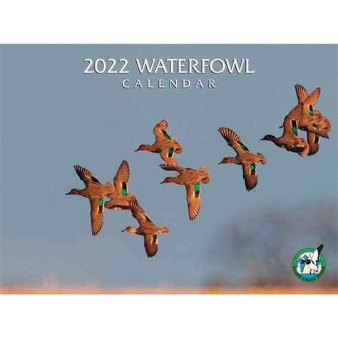 Missouri Waterfowl Season 2022 2023