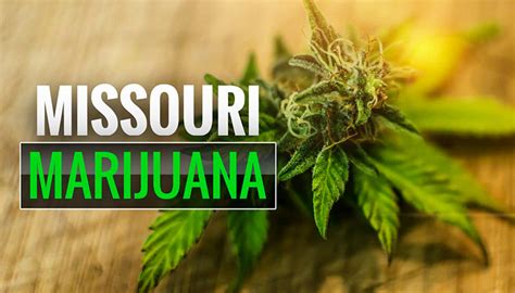 Missouri marijuana microbusiness applications open Thursday
