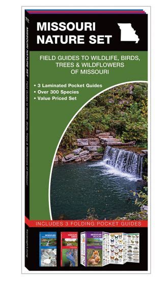Missouri nature set field guides to wildlife birds trees wildflowers of missouri. - Atlas copco electric tools operator manuals.