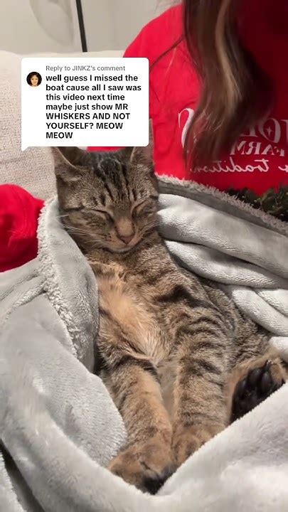 💦 XXX Misswhiskers Leaked
