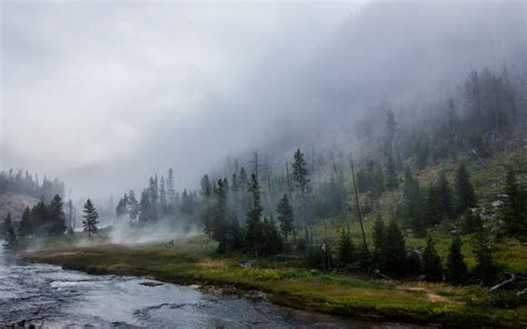 Misty Yellowstone National Park