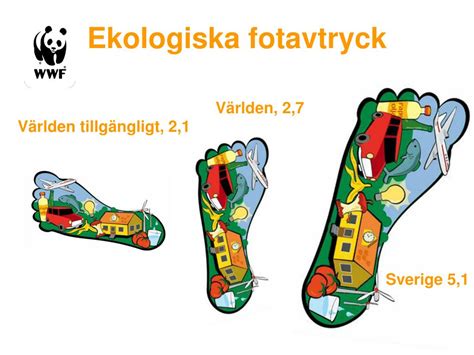 Mitt ekologiska fotavtryck