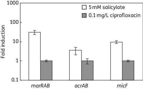 Mix  marrab 2017.  to (cause different substances to) combine, so that t...
