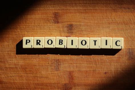 Mixing Probiotics and Alcohol: Pros and Cons - Klarity