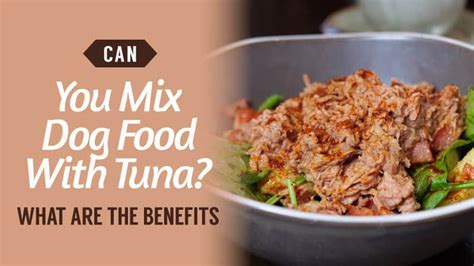Mixing tuna with dog food. One popular choice is mixing tuna with dog food. However, before you indulge your canine friend, it’s a good idea to go over the benefits, risks, and … 
