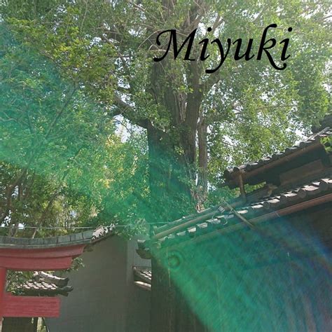 Miy  Uki Onlyfans Leak