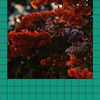 💦 [PPV] Miyoung_7 (Stripchat) Onlyfans Leaked