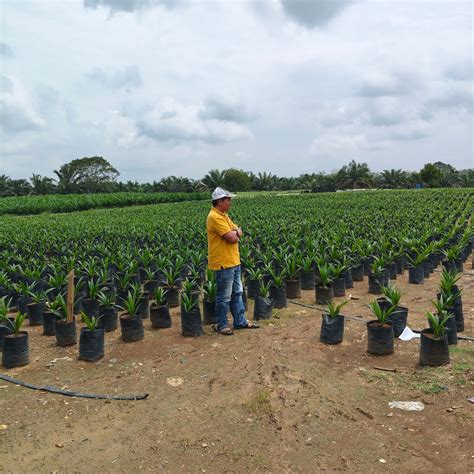 Ml generator apk no human verification. id/Moonton_Checker | Script ini sudah tidak...