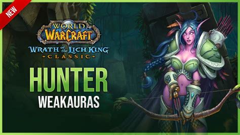Updated for 10.1.7. Please let me know via Discord any issues. Hijack's Hunter WeakAuras for all specializations in World of Warcraft Dragonflight. Includes …. 