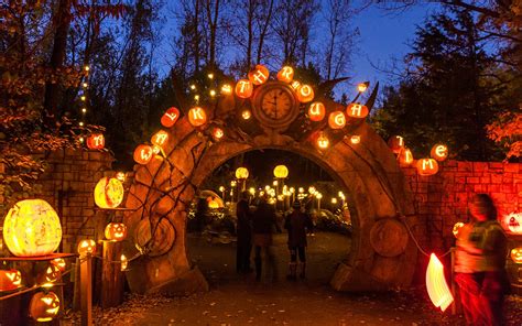 Mn zoo pumpkin. The Jack-O-Lantern Spectacular trail is an additional quarter mile and takes about 40 – 50 minutes to walk through the pumpkin display. Wait time to enter the show may vary depending on attendance. Tickets range from $18-24 for adults and $14 -20 for children/65+ adults. 