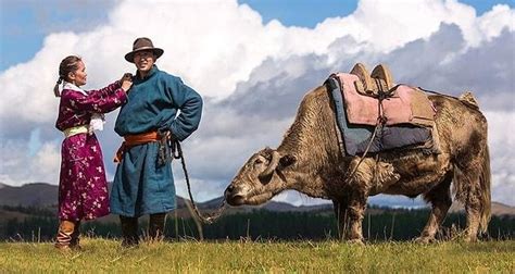 Moğolistan nüfusu kadın erkek