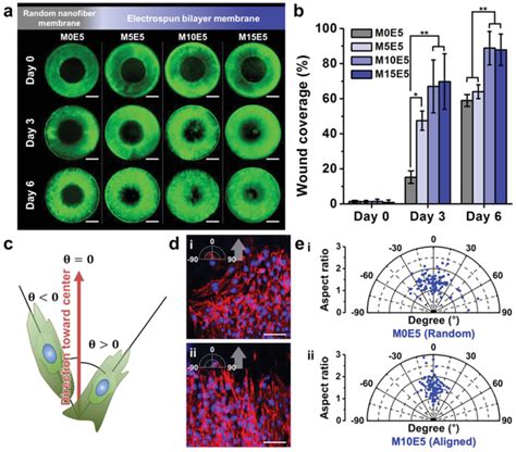 🍆 [PPV] Mo_M0E5 Leaked