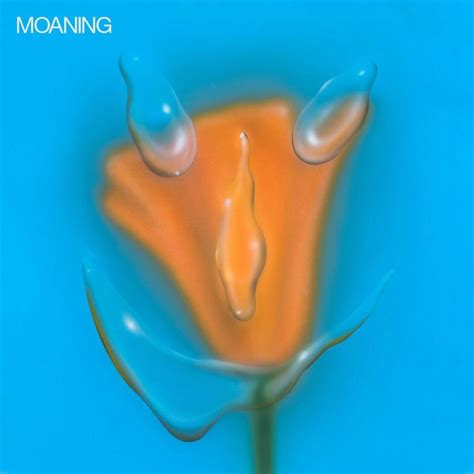 Moaning – Fall in Love Lyrics Genius Lyrics