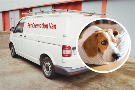 Mobile pet cremation review.  Choose Pet Cremation Services with Mobile Pet Cremations.  Inv...