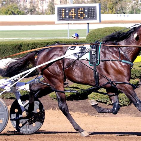 Harness racing. Harness racing is a form of