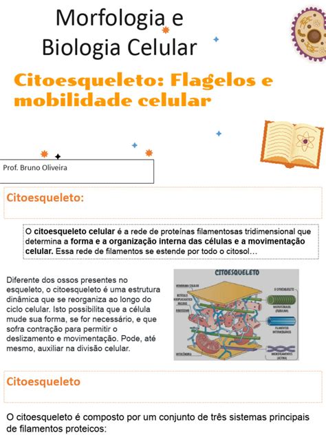 Mobilidade celular biologia.  Atrav&eacute;s de ades&otilde;es celulares, a c&eacute;lula vai anco...