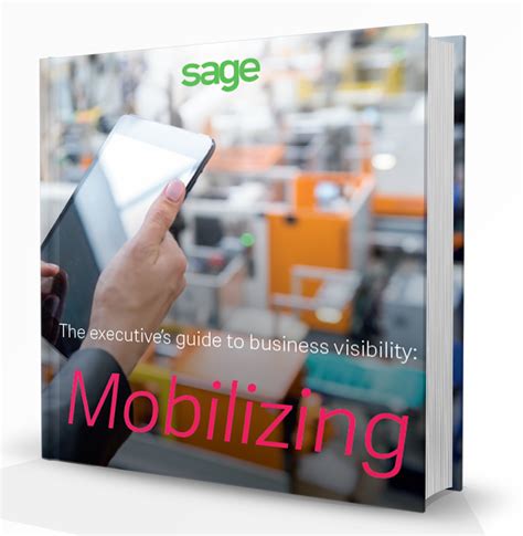 Mobilizing Visibility