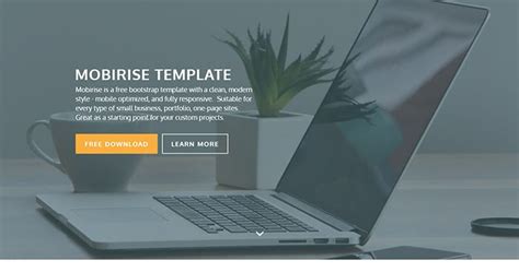 Mobirise Bootstrap Template 825 Themes