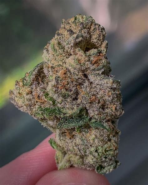 Mochi is an evenly balanced hybrid strain (50% indica/50% sativa) created through a delicious cross of the classic Thin Mint Girl Scout Cookies X Sunset Sherbet …. 