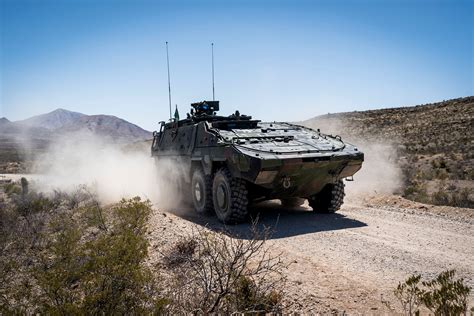 Mod Boxer: The Benefits of Owning Sealed Boxer Puppies and Where to Find Them in KY image 1