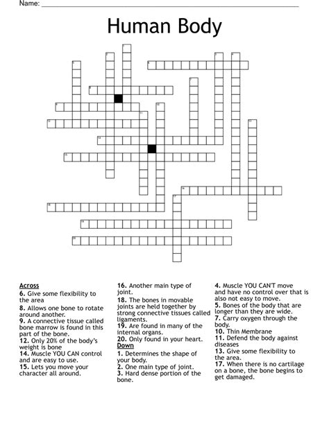 Model of human body crossword clue. The Crossword Solver found 30 answers to "of the body (8)", 8 letters crossword clue. The Crossword Solver finds answers to classic crosswords and cryptic crossword puzzles. Enter the length or pattern for better results. Click the answer to find similar crossword clues . Enter a Crossword Clue. A clue is required. 
