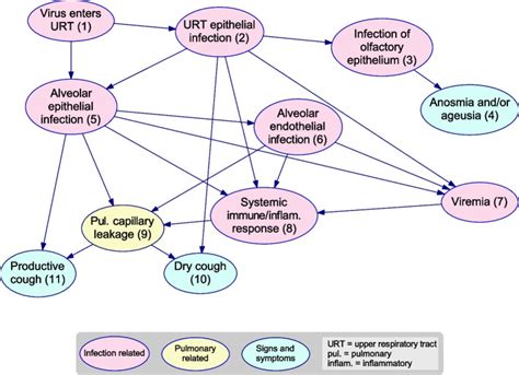 Modeling COVID-19 disease processes by remote elicitation of …