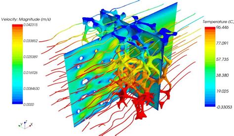 Modeling and simulation of heat and mass transfer in an