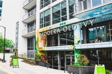 Modera old ivy. A02L is a 1 bedroom apartment layout option at Modera Old Ivy. Javascript has been disabled on your browser, so some functionality on the site may be disabled. Enable javascript in your browser to ensure full functionality. 