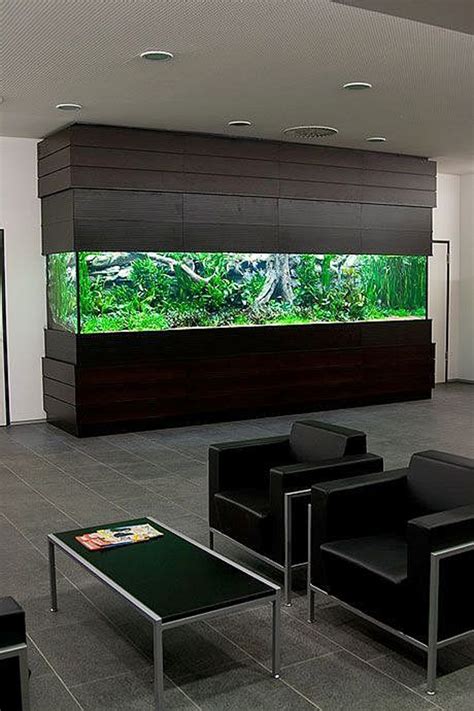 Modern Aquarium