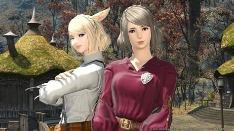 View all of the information on all of the Miscellany items in Final Fantasy XIV and its expansions. Full description and stats.. 