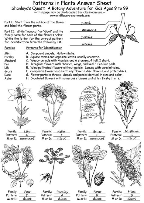 Modern botany study guide answer key. - Manual shop bombardier traxter 500 max.djvu.